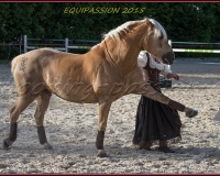2-13JUIN 0385